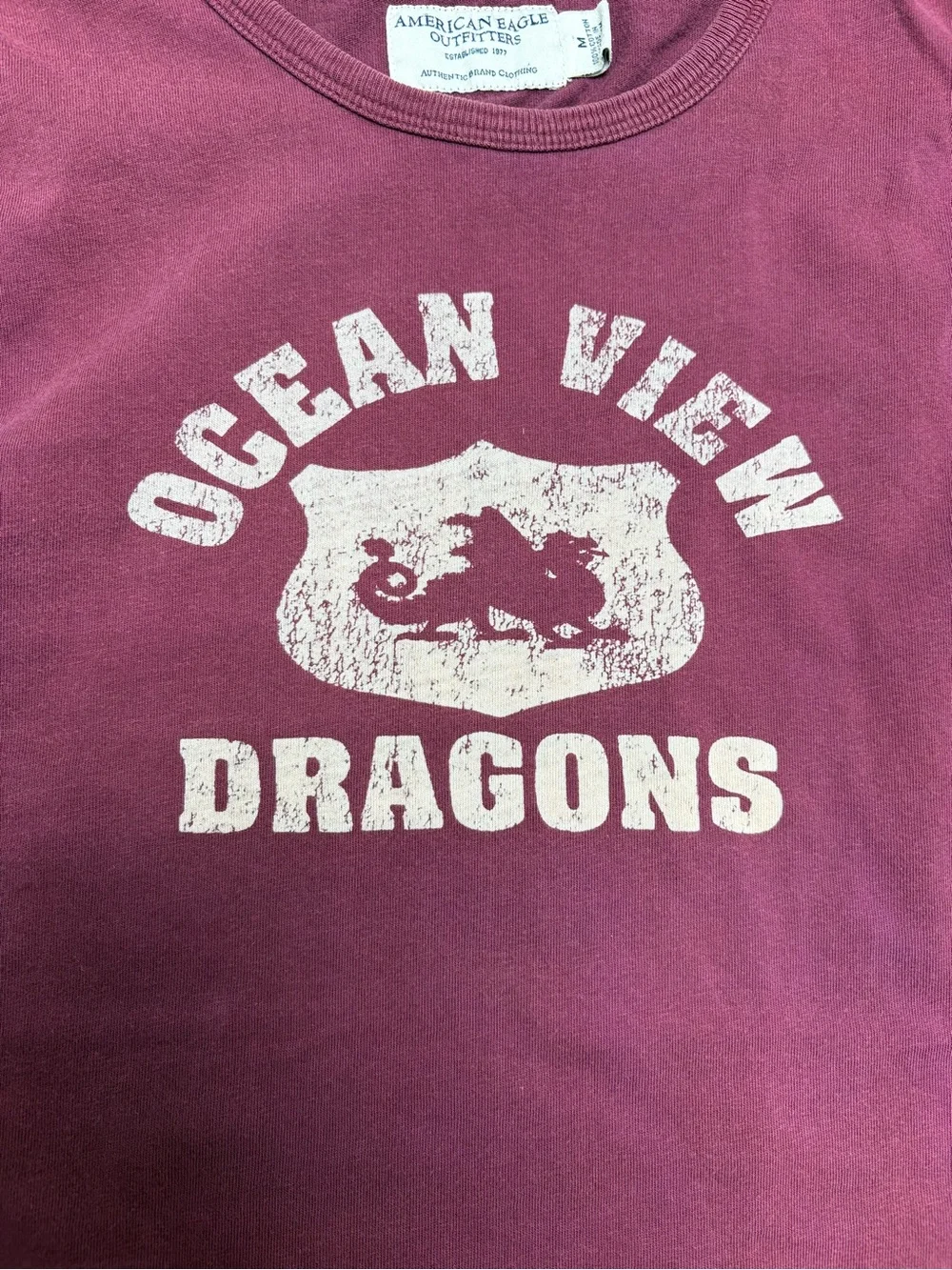 American Eagle Outfitters Maroon Dragon Graphic Tank